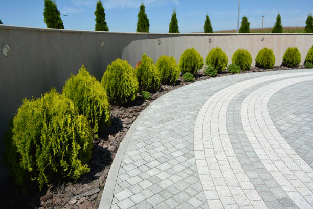 Best Driveway Paving Contractor  in King, NC